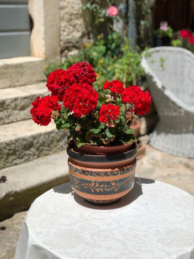 Monte B. Exclusive Rovinj